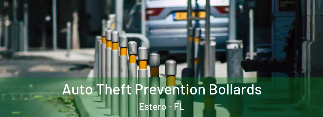  Auto Theft Prevention Bollards Estero - FL