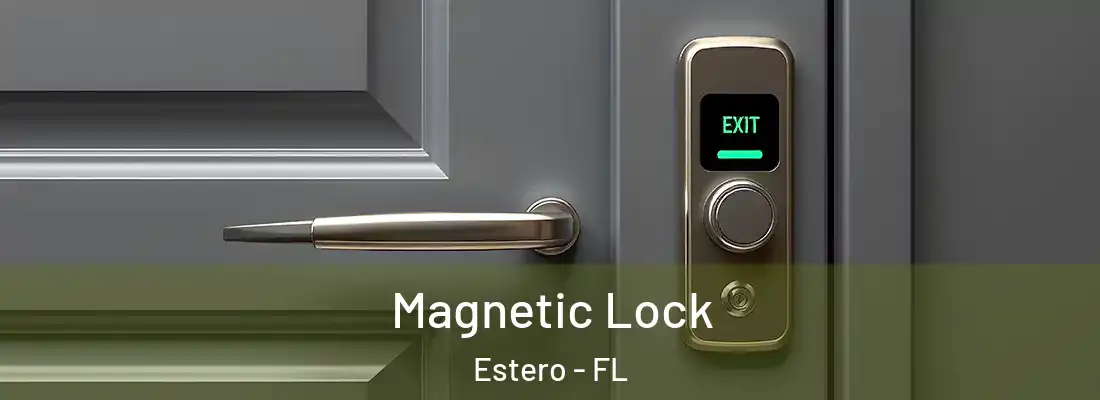  Magnetic Lock Estero - FL